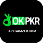 APKGAMZER.COM