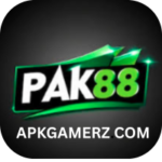 APKGAMERZ.COM