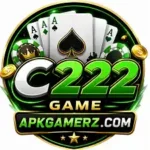 c 222 game