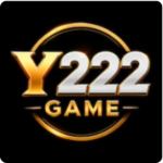 Y222 Game