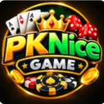 PKNICE Game